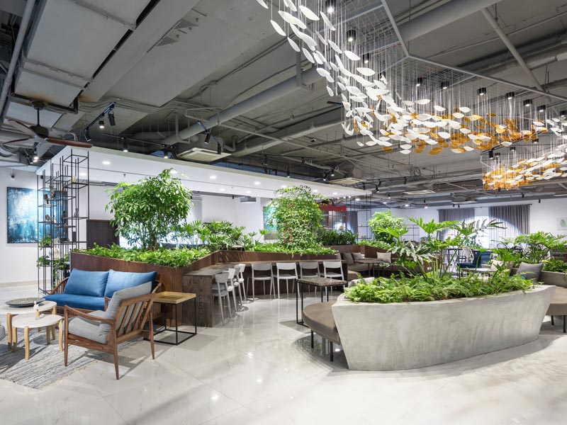 Phân biệt Serviced Office và Co-Working Space